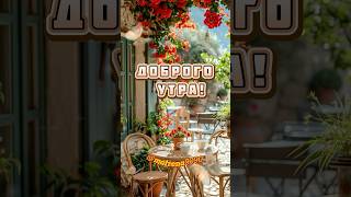 Доброго утра и хорошего дня #доброеутро #хорошегодня #пожеланиедоброгоутра