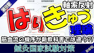 最新! 軸索反射 筋血流増加の機序【鍼灸国家試験対策】はりきゅう理論