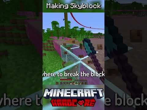 I Made Skyblock in Minecraft Hardcore #8