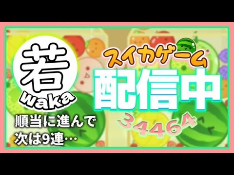 大記録を目指して【スイカゲーム】