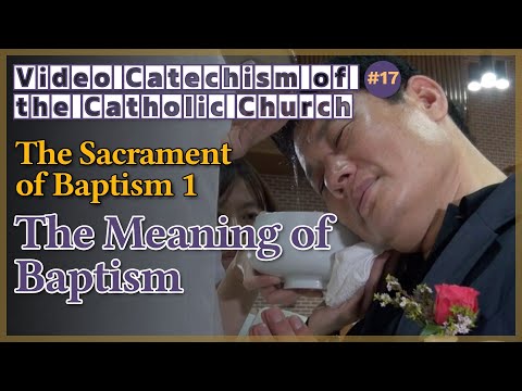 The Sacrament of Baptism 1 - The Meaning of Baptism｜Video Catechism of the Catholic Church Part.17