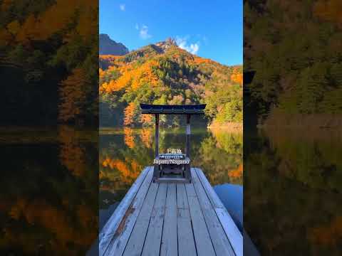 【長野・観光】この秋に行きたい！紅葉の時期のオススメスポット！