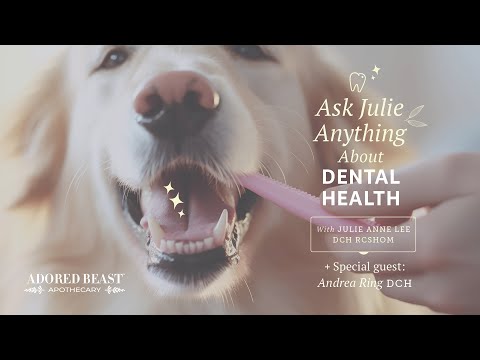 Ask Julie Anything - December Oral Health for Dogs & Cats