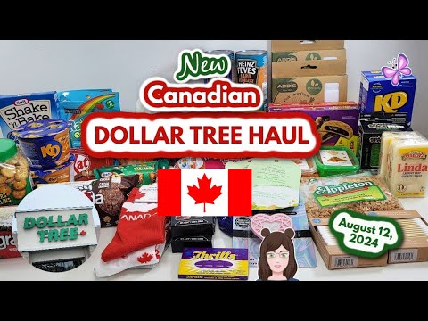 Amazing $100 Canadian DOLLAR TREE Haul! Awesome Finds!! August 12, 2024