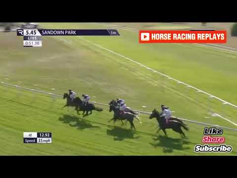 Adrestia / 2 Race Sandown 31 Jul 2024