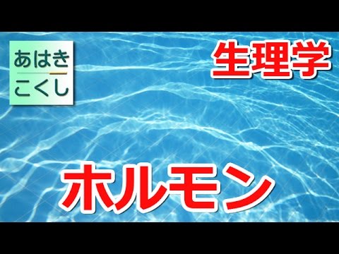 鍼灸 国家試験対策 生理学 - ホルモン [あはきこくし]