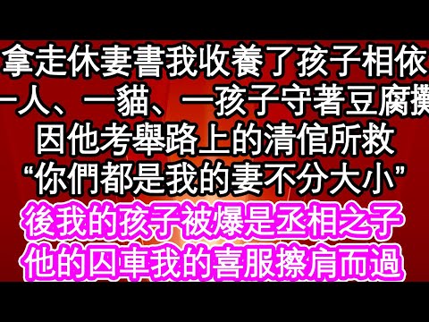 拿走休妻書我收養了孩子相依，一人、一貓、一孩子守著豆腐攤，因他考舉路上的清倌所救“你們都是我的妻不分大小”後我的孩子被爆是丞相之子，他的囚車我的喜服擦肩而過| #為人處世#生活經驗#情感故事#養老