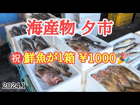 【北海道】白老町の海産物「夕市」へ🐟今が旬の鮮魚を探しに😋