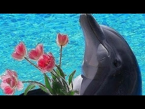 ДЛЯ ТЕБЯ ‼️ОТ ДУШИ ‼️КРАСИВЫЕ ПОЖЕЛАНИЯ 💝