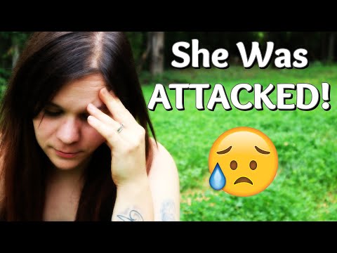 ATTACKED! SHE DID NOT DESERVE THIS! | Vacation Talk | DIY | Shed To Cabin