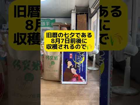 岐阜市 お米 岐阜市の美味しいお米屋さん。今年第一弾の新米七夕🎋コシヒカリが入荷されました #shorts