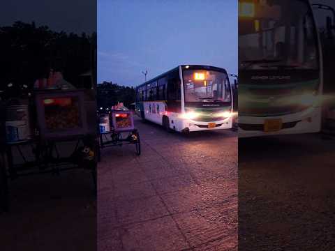 laccmi bus 🚌 in odisha #song #music #laxmibus