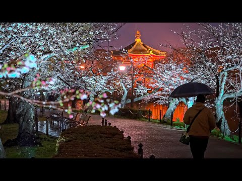 Tokyo Rainy Night Walk - Yanaka-Ginza to Ueno • 4K HDR