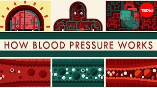 How blood pressure works - Wilfred Manzano