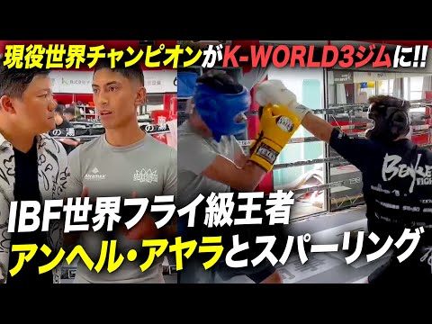 現役世界チャンピオン襲来！IBF世界フライ級王者とK-WORLD3エリートがスパーリング！