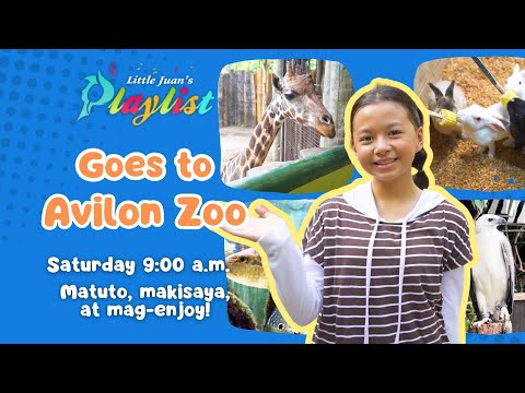 LJP GOES TO AVILON ZOO | LITTLE JUAN'S PLAYLIST