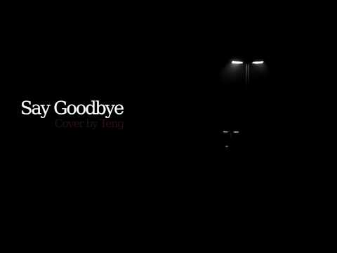 Say Goodbye Cover by Teng