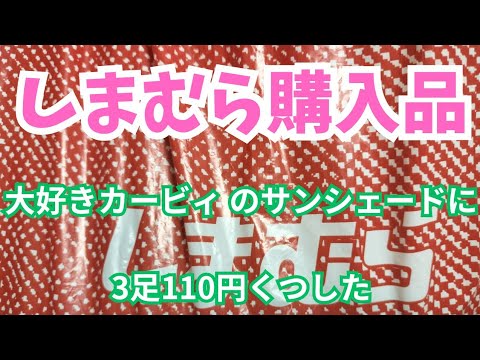 【しまむら購入品】大好きカービィ のサンシェードに3足110円くつした‼️