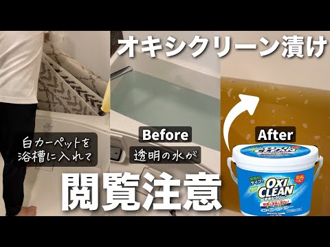 オキシクリーンで絨毯の汚れをごっそり取る方法【ショートまとめ】