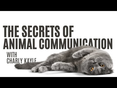 Animal Whisperers: Diving Deeper into the Secrets of Animal Communication with Charly Kayle