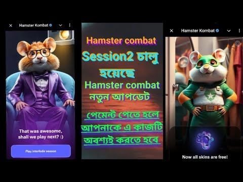 Hamster combat Session 2 Update