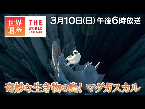 【TBS世界遺産】奇妙な生き物たちの島！マダガスカル【3月10日午後6時放送】