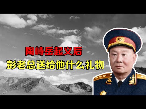 陶峙岳起义后，彭老总送给他一个礼物，陶峙岳热泪盈眶