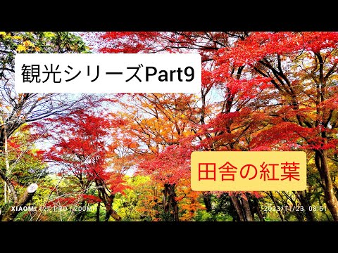 観光シリーズPart9田舎の紅葉スポットに行ってきた！