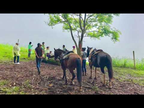 ワイピオ 渓谷 乗馬 山コース