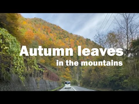 Hidden Japan   34        称名川沿線の紅葉          Autumn leaves in the mountains