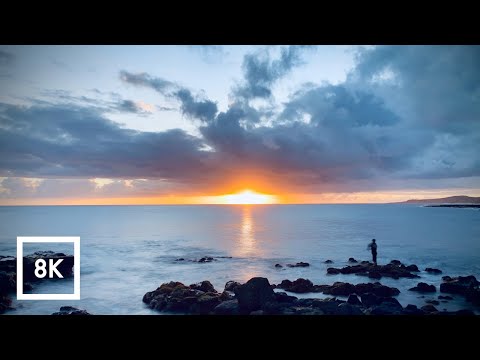 8K Soothing Ocean Sounds in Kauai, Hawaii, Fir Deep Sleep ASMR 2 Hours