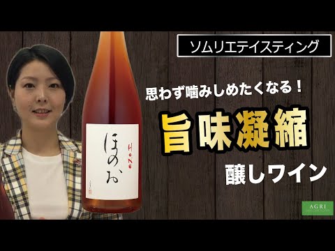 【数量限定】思わず噛みしめたくなる！旨味凝縮  醸しワイン　｜アグリワインチャンネル