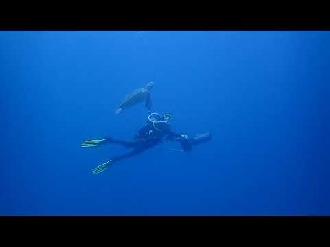 DPV Dive Small Beach Detect Okinawa