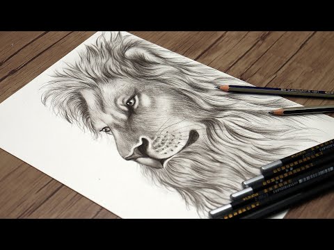 How to Draw a Realistic Lion Head Step by Step | Animals Drawing Tutorial