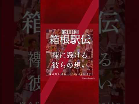 【選手の襷に懸ける想い〜伊藤大志〜】#早稲田大学競走部#箱根駅伝