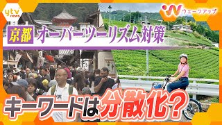 紅葉シーズン前　訪日外国人が“過去最高”にオーバーツーリズム対策に動く　秋の京都に密着　【ウェークアップ】