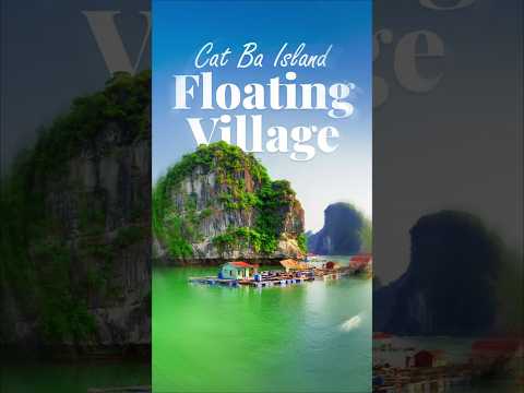 Cat Ba Island: Hidden Gem of Ha Long Bay's Floating Village 🌊🏝️ #halongbay #shorts #travel