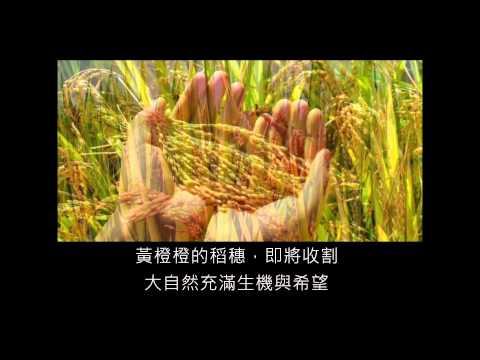 感恩節目-我要對你說謝謝【精華預告片】