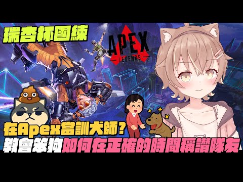 【杏仁ミル精華】訓犬員咪嚕成功交會丁義在正確的時間稱讚隊友 ft. 丁義 【瑞杏盃團練】