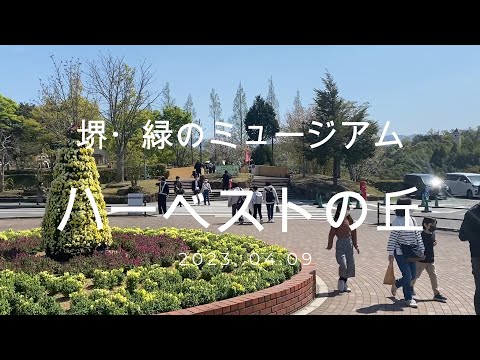 堺・緑のミュージアム ハーベストの丘 (2023.04.09)