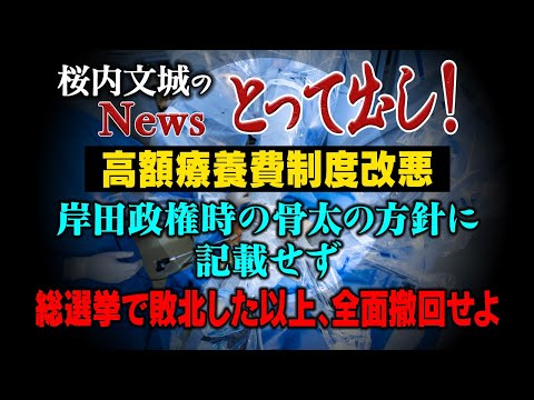 【桜内文城のNewsとって出し】【高額療養費制度改悪】岸田政権時の骨太の方針に記載せず、総選挙で敗北した以上、全面撤回せよ