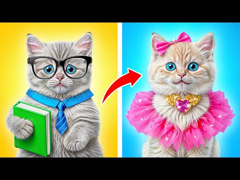 From Nerd to Popular Cat by Multi DO Smile