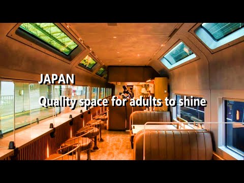 Japanese Express Train | Travel alone to enjoy the elegance of a sapphire ride