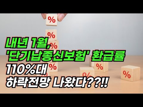 ‘금리 인하·해지율 변경’ 더블 악재... 내년 1월, 단기납종신 환급률 110%대 하락 예고