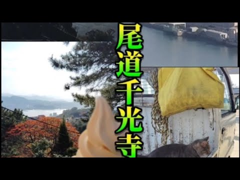 尾道おのみち千光寺山⛰️頂上写真集