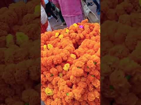 Ayodhya #dhinamummanamum #shortvideo #shortsviral #shortvideo #reels #reelsinstagram #reelsvideo