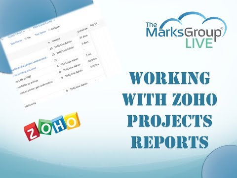 Zoho Projects Reports: How to Work With Them