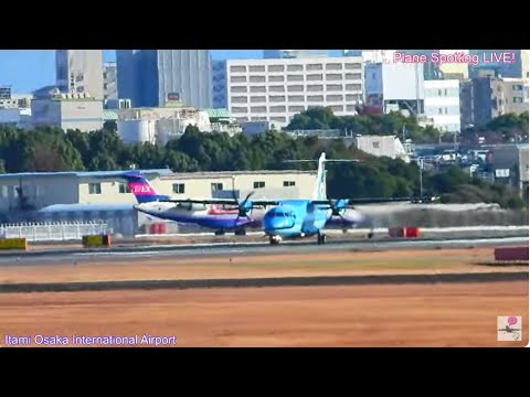 お出迎えからお見送り！天草エアライン・みぞか号・ 伊丹空港ライブ配信!  Plane Spotting Live!  Osaka International Airport 12/29/2024