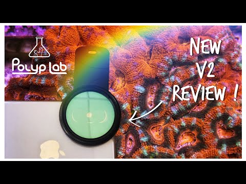 New Version 2 PolypLab Coral View Lens Review with Side by Side Comparisons