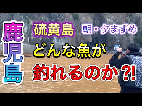 【鹿児島】硫黄島　朝・夕まずめでは、いったいどんな魚が釣れるのか？！知りたい方には、必見ですヾ(≧▽≦)ﾉ